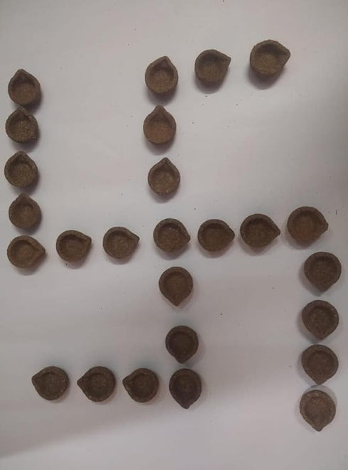 Homemade Panchagavya Gobar Diya | Vilakku or Deepam